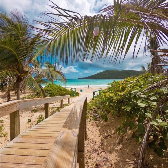 Meet your Posher, Erika - Picture 6 of 7